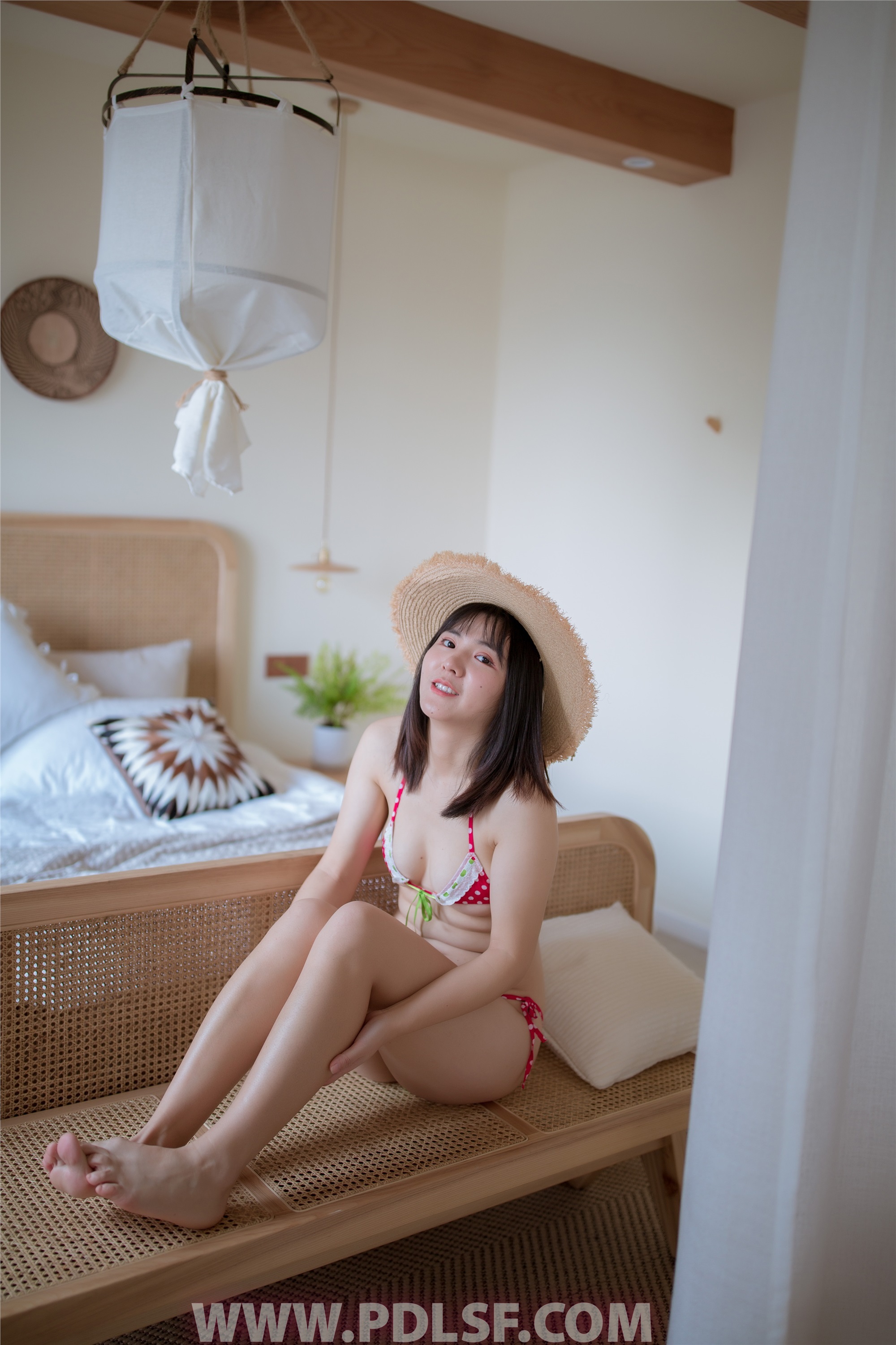 PDL潘多拉 2019.12.24 专辑No.257